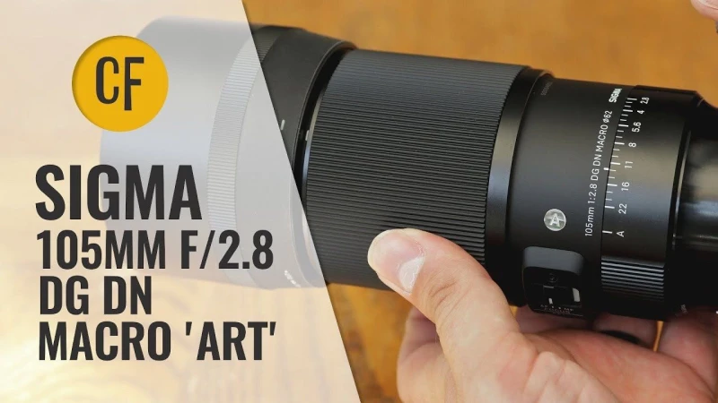 New: Sigma 105mm f/2.8 DG DN Macro 'Art' lens review (Full-frame APS-C)