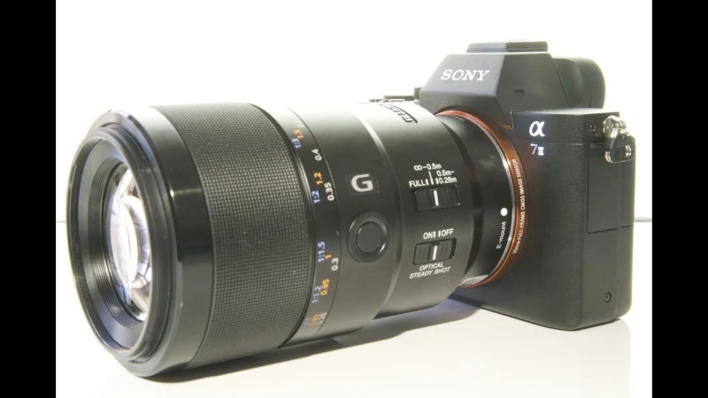Sony FE 90mm f/2.8 Macro G OSS Lens Review 2