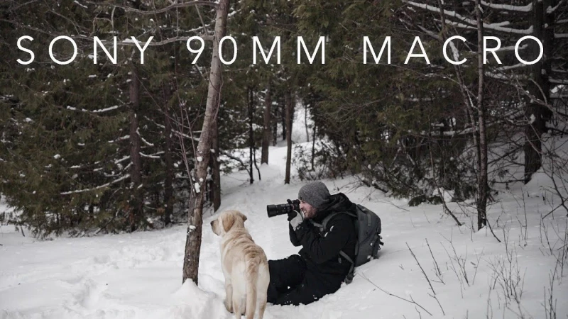 SNOWY HIKE with the A7III Sony 90mm F2.8 MACRO