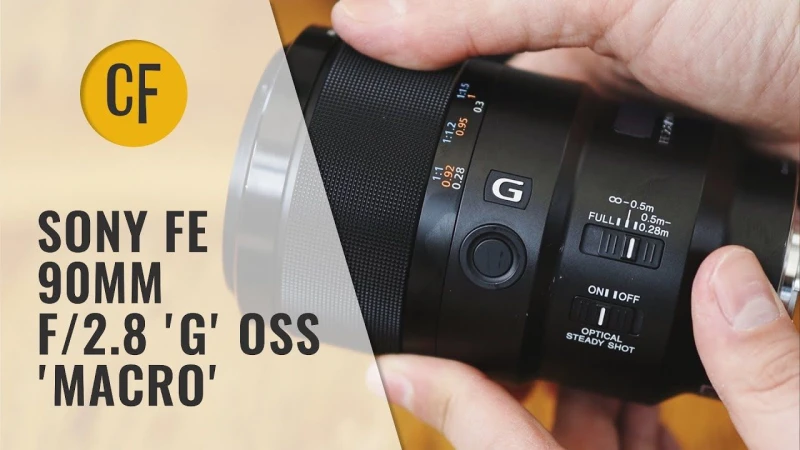 Sony FE 90mm f/2.8 Macro G OSS lens review with samples (Full-frame APS-C)