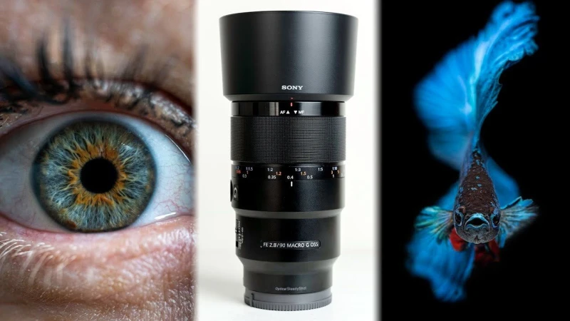 Sony FE 90mm F2.8 Macro Review - Best Macro and Portrait lens?
