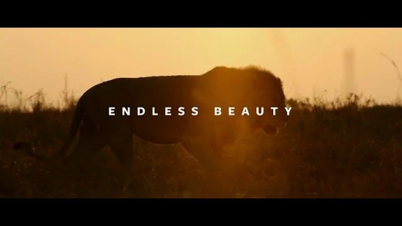 Endless Beauty by Chris Schmid - a Sony α7S III short movie
