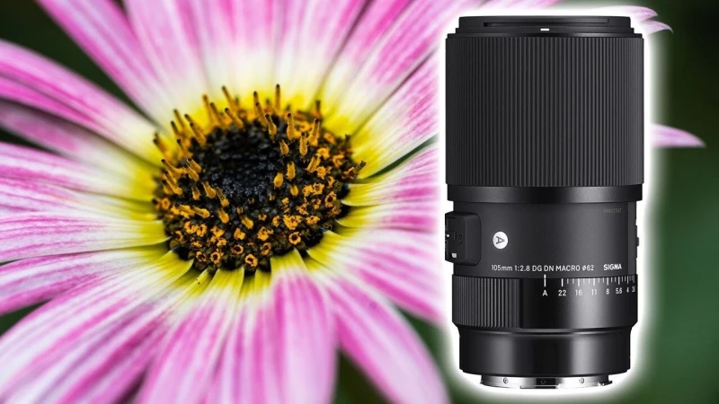 SIGMA 105mm 2.8 Macro ART REVIEW for Sony Cameras