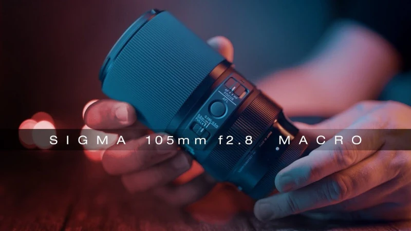 Sigma 105mm f2.8 DG DN MACRO - New BEST macro lens for Sony-E mount!!