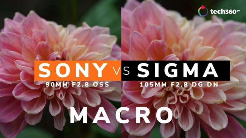 Battle of the E-Mount Macros: Sony 90mm f2.8 OSS vs Sigma 105 f2.8 DG DN
