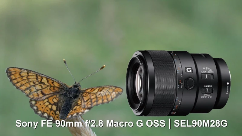 Sony FE 90mm f2.8 Macro G OSS video test - (4K)